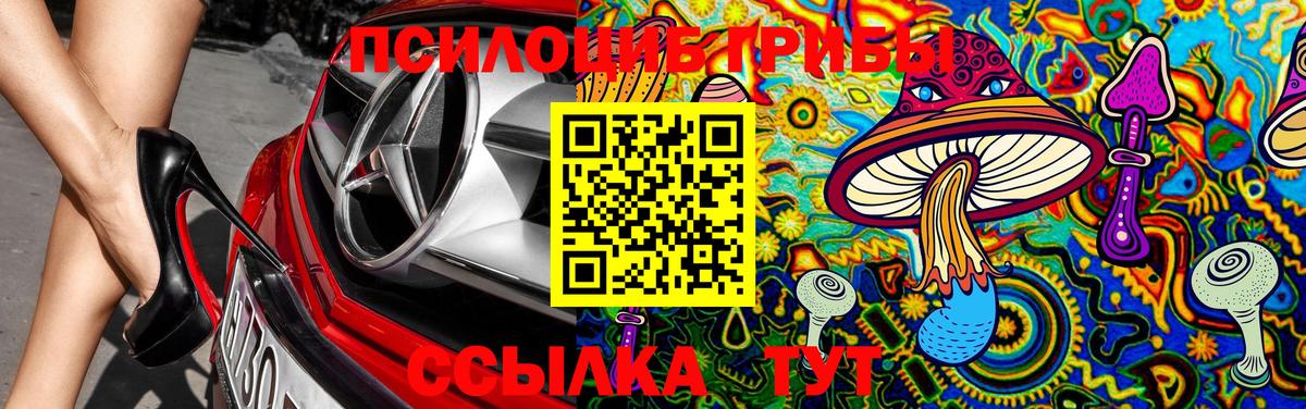 Псилоцибиновые грибы MAGIC MUSHROOMS  Галлюциногенные грибы MAGIC MUSHROOMS  Вход с VPN  Карабулак 