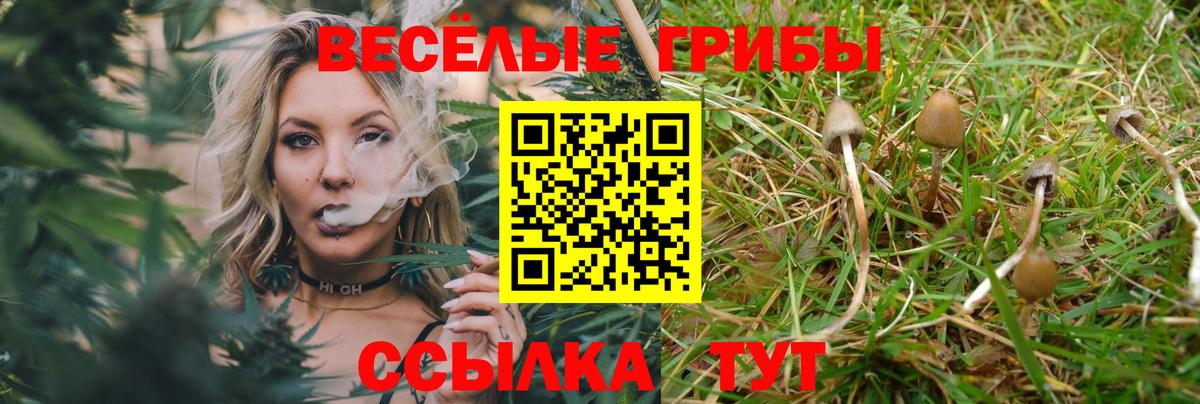Псилоцибиновые грибы мицелий Карабулак